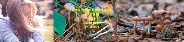 СК Балахна