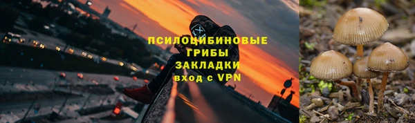 СК Балахна