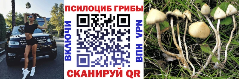 Галлюциногенные грибы мухоморы  Серов 