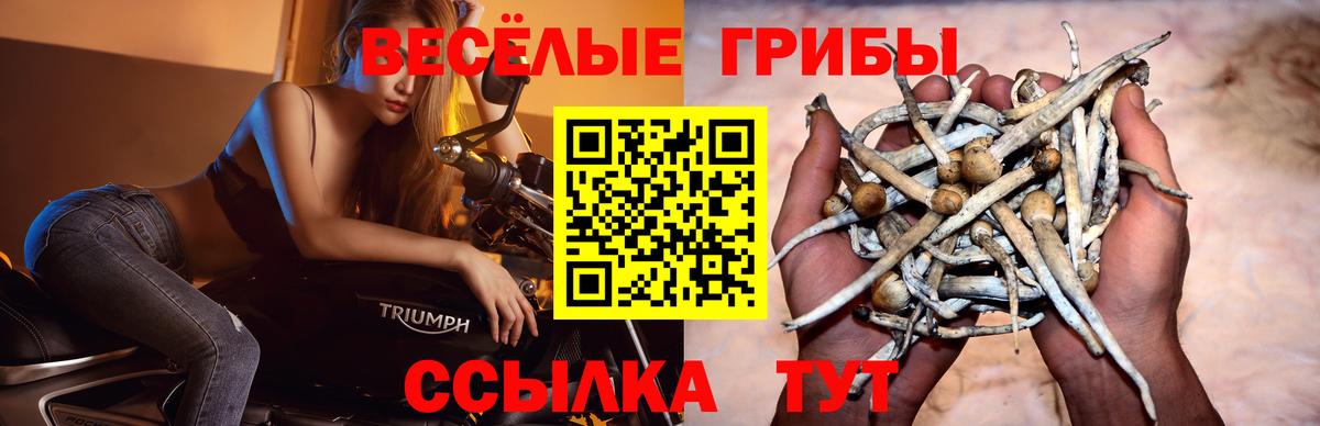Псилоцибиновые грибы мухоморы Серов