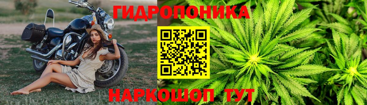 Серов  Каннабис конопля  Вход с VPN  Шишки марихуана гибрид  Бошки марихуана план 